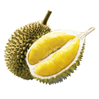 Durian