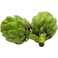 Artichoke