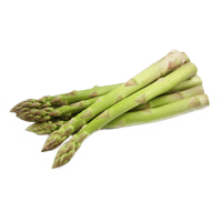 Garden asparagus