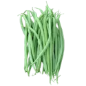 Green bean