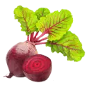 Beets, canned, drained solids