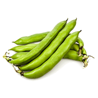 Broad beans