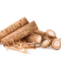 Burdock root