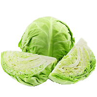 Cabbage