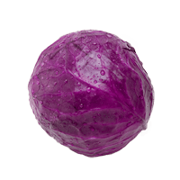 Red cabbage