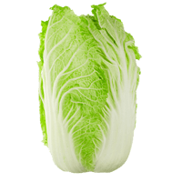 Chinese cabbage