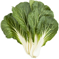 Marrow-stem Kale