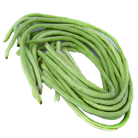 Yardlong bean (Asparagus bean)