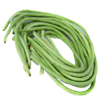 Yardlong beans