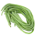 Yardlong beans