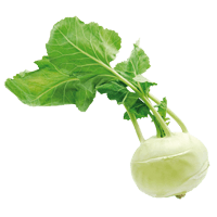 Kohlrabi