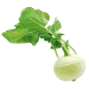 Kohlrabi, cooked, boiled, drained, with salt