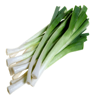 Leek