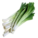 Leek