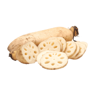 Lotus root