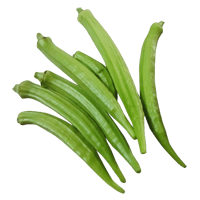 Okra