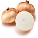 Sweet onion