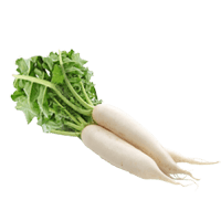 Parsnip