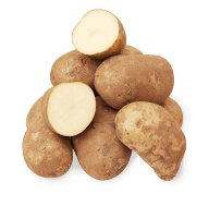 Russet potato raw