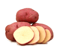 Red potato