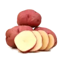 Red potato