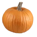 Pumpkin, cooked, boiled, drained, with salt