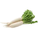 Daikon