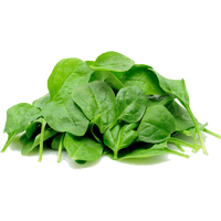 Spinach raw