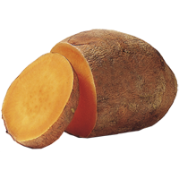 Sweet potato