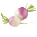 Turnips, cooked, boiled, drained, without salt