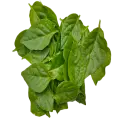 Vine spinach (basella)