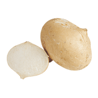 Jicama (yam bean)