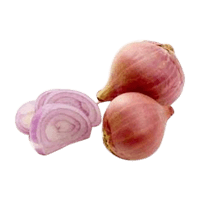 Shallot