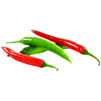 Chili pepper