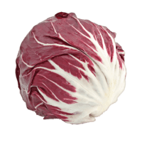 Radicchio