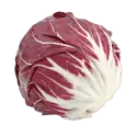 Radicchio