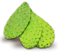 Nopales