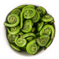 Fiddlehead ferns