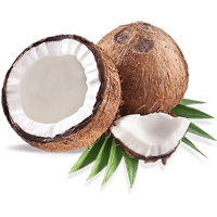 Coconut