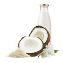 Coconut milk