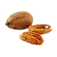 Pecan