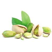 Pistachio