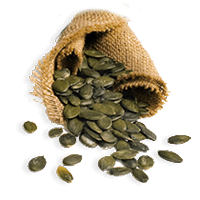 Pumpkin seeds