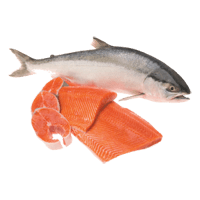 Sockeye salmon