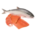 Fish, salmon, sockeye, canned, drained solids