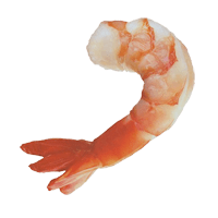 Shrimp