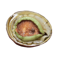 Abalone