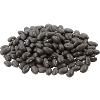 Black turtle bean