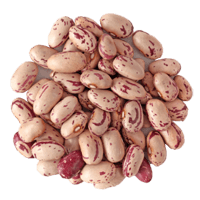 Cranberry beans