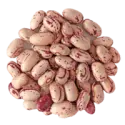 Cranberry bean raw